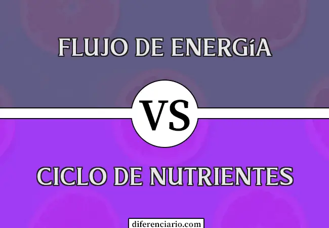 Diferencia entre flujo de energía y ciclo de nutrientes