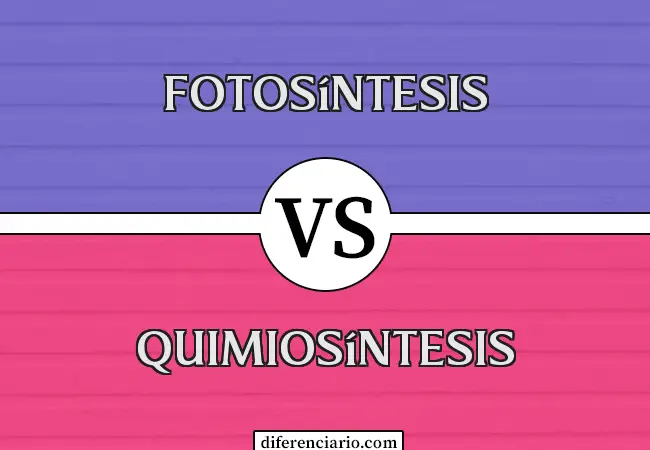 Diferencia entre fotosíntesis y quimiosíntesis