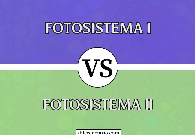 Diferencia entre el fotosistema I y el fotosistema II