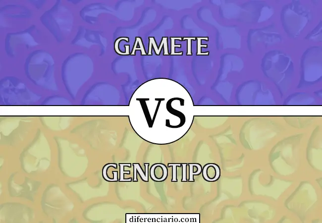 Diferencia entre gameto y genotipo