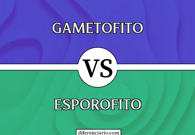Diferencia entre Gametofito y Esporofito