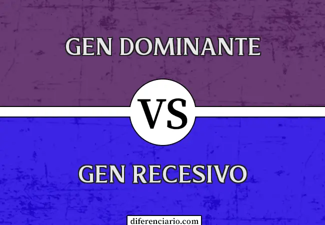 Diferencia entre gen dominante y gen recesivo