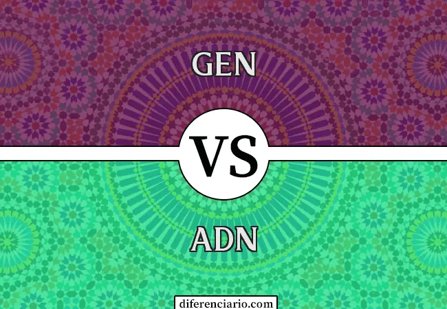 Diferencia entre gen y ADN