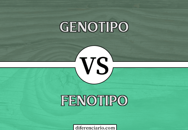Diferencia entre genotipo y fenotipo