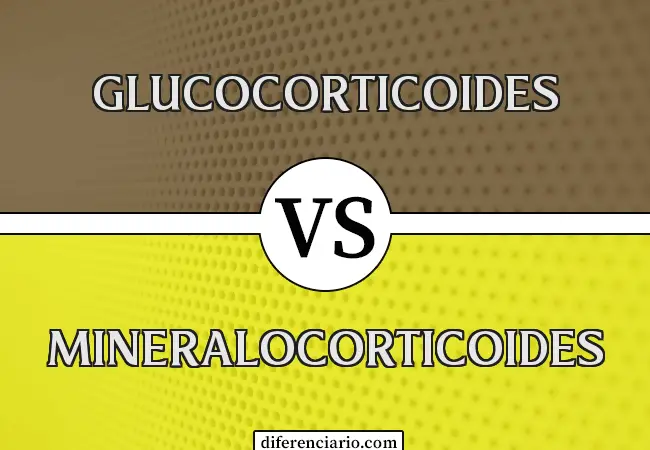 Diferencia entre glucocorticoides y mineralocorticoides