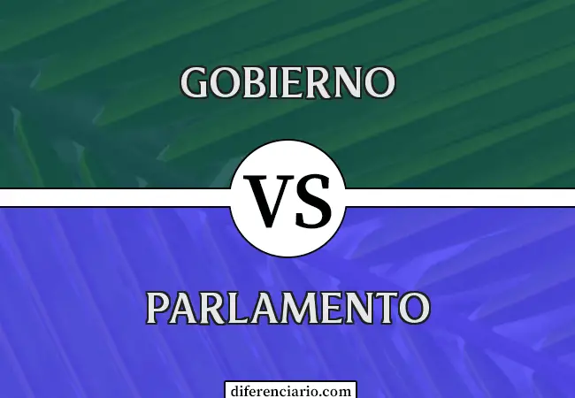 Diferencia entre Gobierno y Parlamento