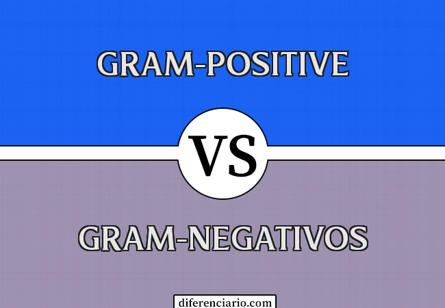 Diferencia entre Gram-positivo y Gram-negativo