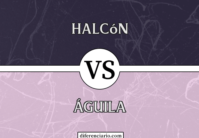 Diferencia entre Halcón y Águila