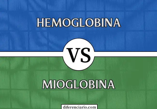 Diferencia entre hemoglobina y mioglobina