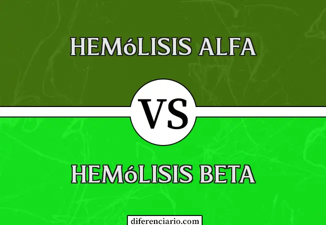 Diferencia entre hemólisis alfa y hemólisis beta