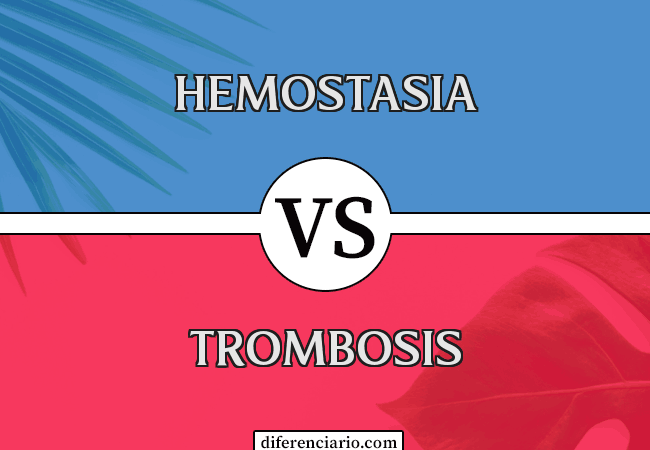 Diferencia entre hemostasia y trombosis