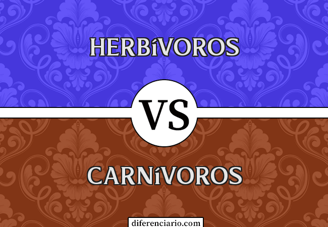 Diferencia entre herbívoros y carnívoros