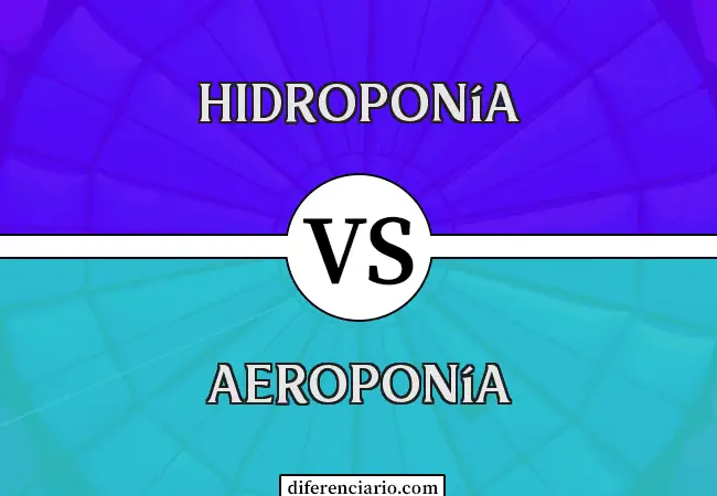 Diferencia entre Hidroponía y Aeroponía