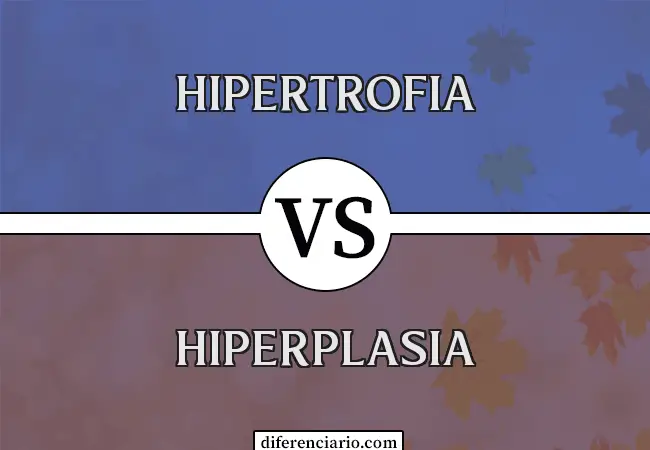 Diferencia entre hipertrofia e hiperplasia