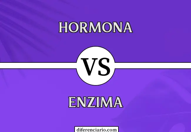 Diferencia entre hormona y enzima