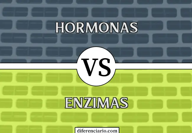Diferencia entre hormonas y enzimas