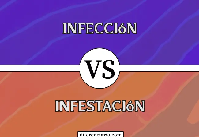 Diferencia entre infección e infestación