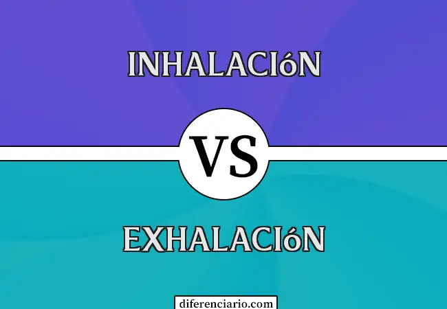 Diferencia entre inhalación y exhalación