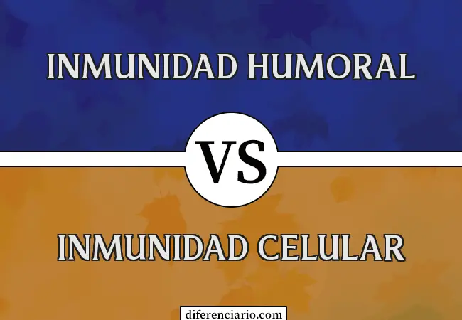 Diferencia entre inmunidad humoral e inmunidad celular