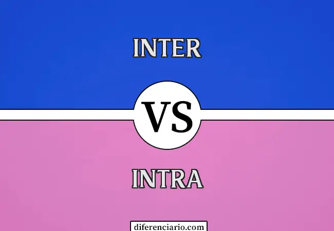 Diferencia entre Inter e Intra