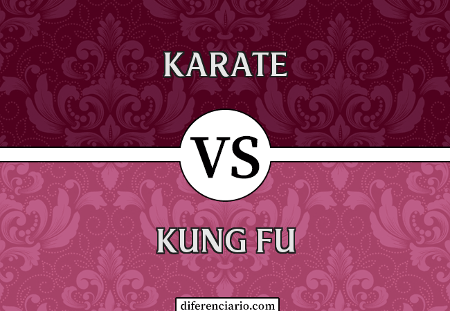 Diferencia entre Karate y Kung Fu