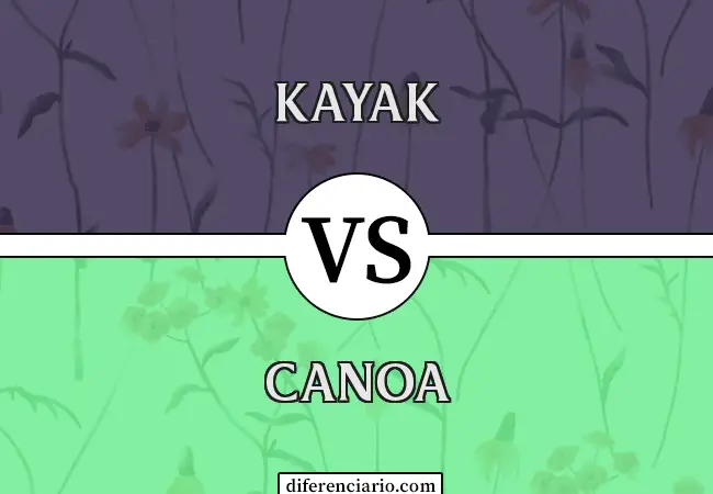 Diferencia entre Kayak y Canoa