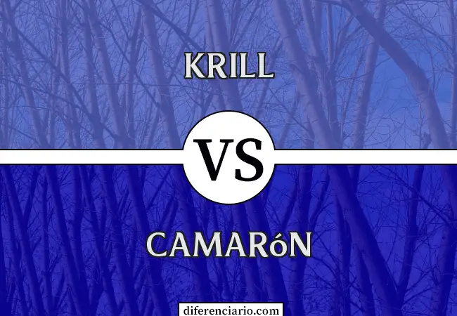 Diferencia entre krill y camarón