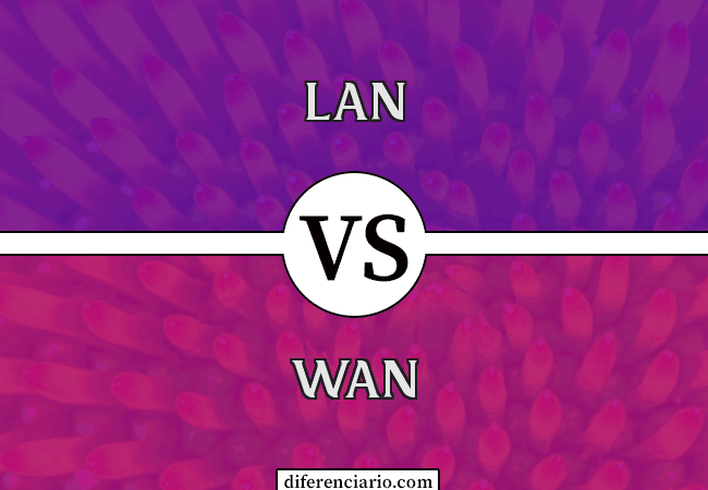 Diferencia entre LAN y WAN