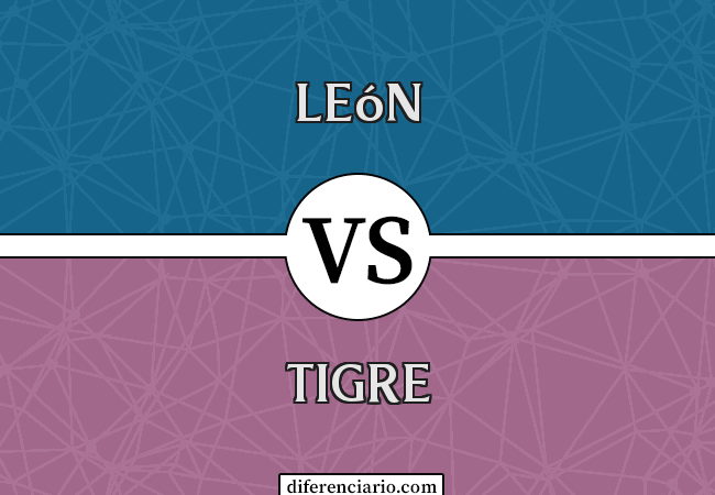 Diferencia entre el león y el tigre