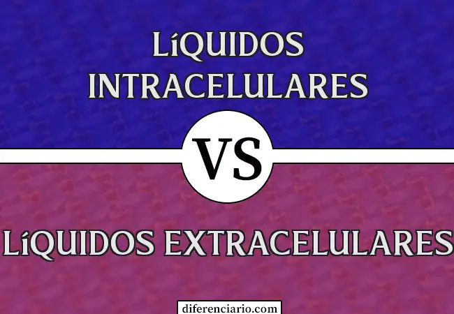 Diferencia entre Líquidos Intracelulares y Líquidos Extracelulares