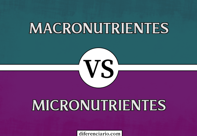 Diferencia entre macronutrientes y micronutrientes