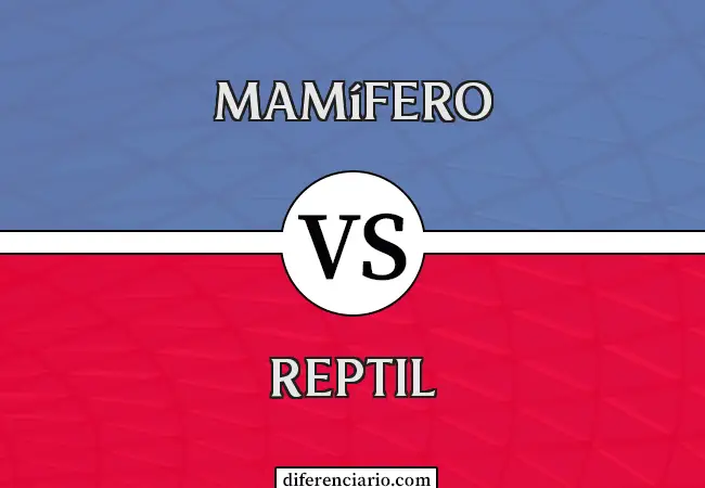 Diferencia entre mamífero y reptil