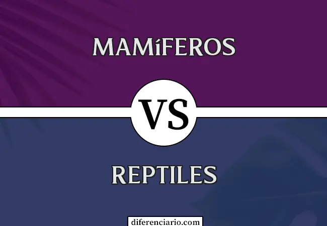 Diferencia entre mamíferos y reptiles
