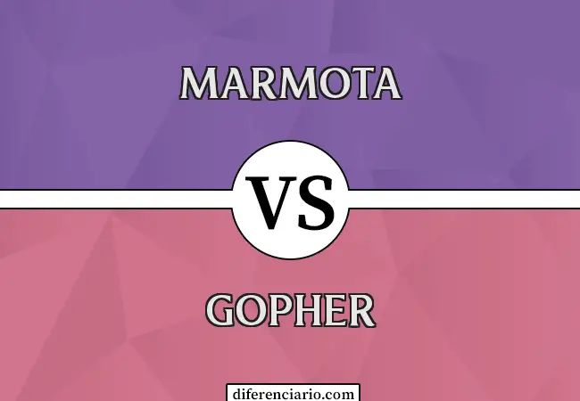 Diferencia entre Groundhog y Gopher