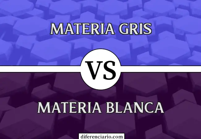 Diferencia entre materia gris y materia blanca