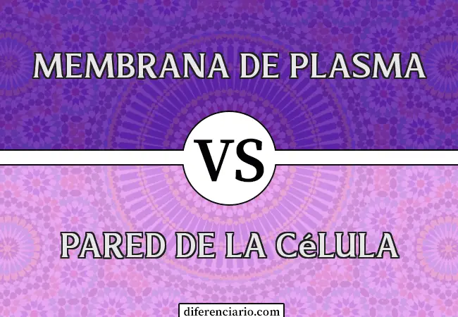 Diferencia entre Membrana Plasmática y Pared Celular
