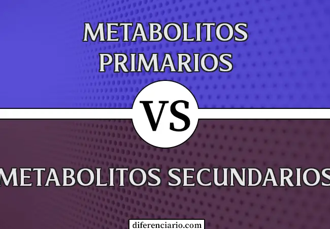 Diferencia entre metabolitos primarios y metabolitos secundarios