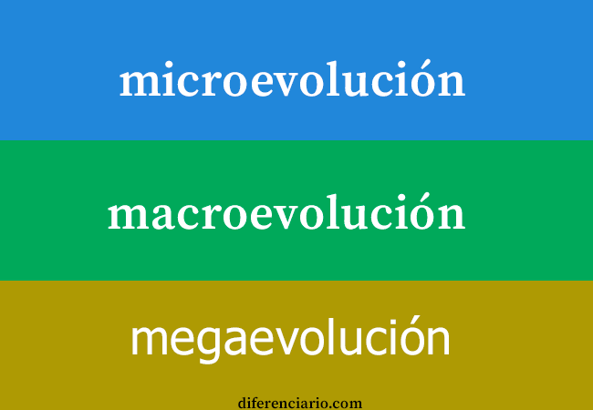 Diferencia entre microevolución,  macroevolución y megaevolución