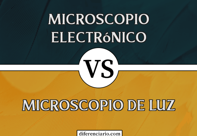 Diferencia entre microscopio electrónico y microscopio óptico