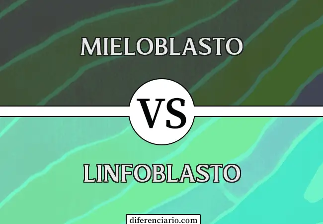 Diferencia entre mieloblasto y linfoblasto