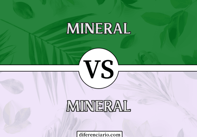 Diferencia entre Mineral y Oreja