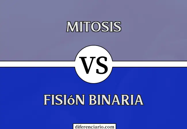 Diferencia entre Mitosis y Fisión Binaria