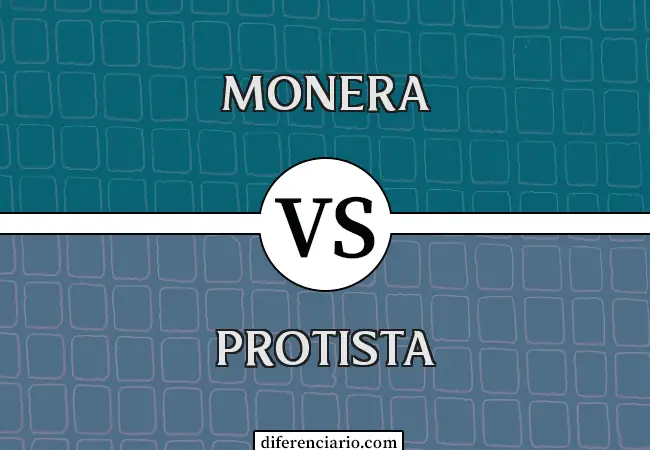 Diferencia entre Monera y Protista