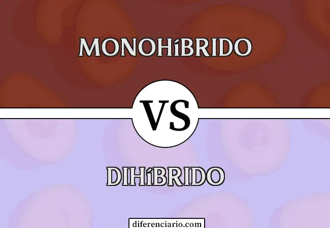 Diferencia entre monohíbrido y dihíbrido