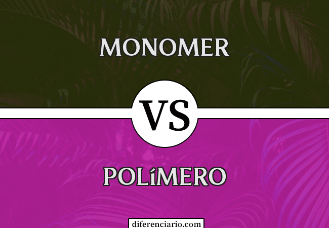 Diferencia entre monómero y polímero