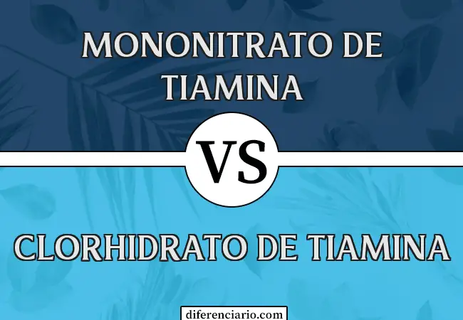 Diferencia entre mononitrato de tiamina y clorhidrato de tiamina