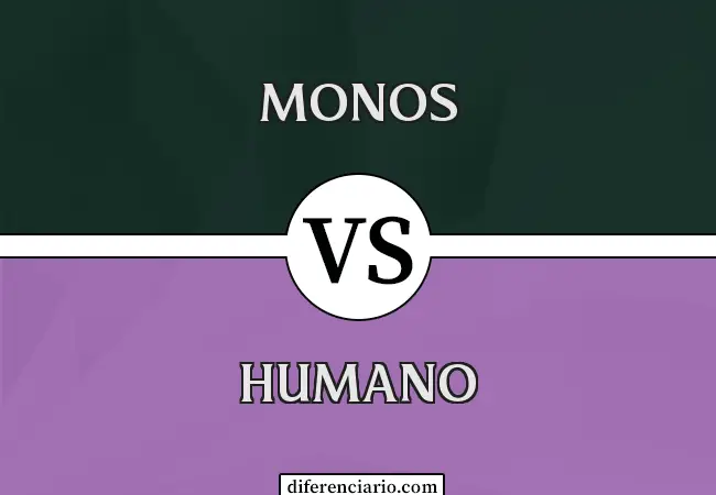 Diferencia entre simios y humanos