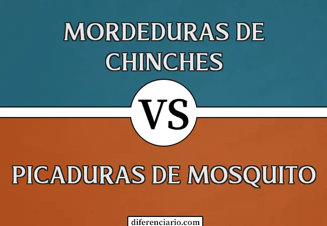 Diferencia entre picadura de chinche y picadura de mosquito