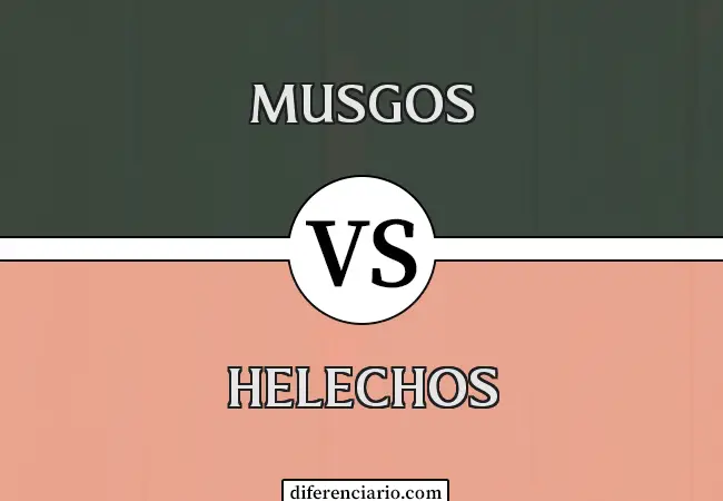 Diferencia entre musgos y helechos
