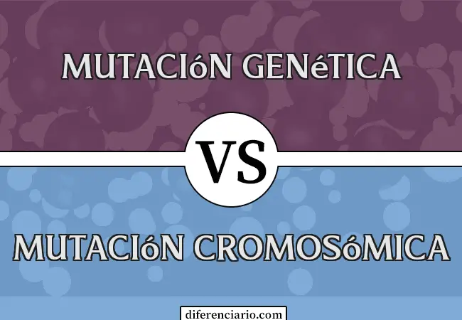 Diferencia entre mutación genética y mutación cromosómica